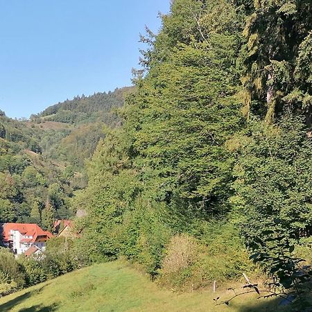 Huberhof Pfaffenbach Villa Gengenbach Esterno foto