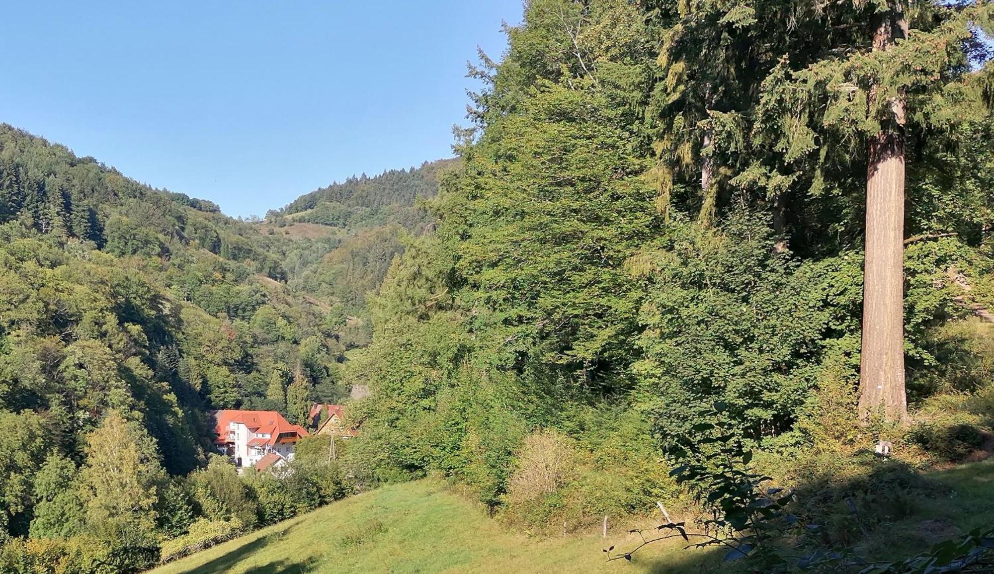 Huberhof Pfaffenbach Villa Gengenbach Esterno foto