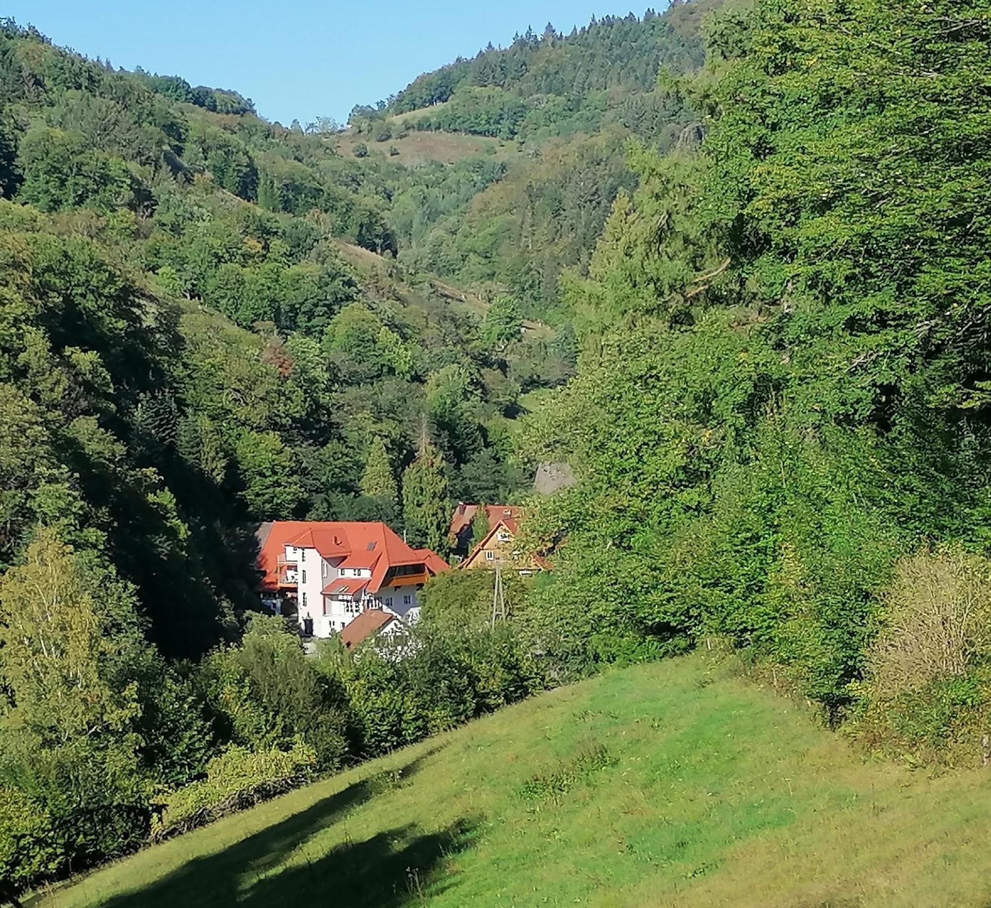 Huberhof Pfaffenbach Villa Gengenbach Esterno foto